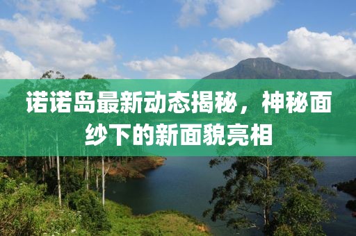 诺诺岛最新动态揭秘，神秘面纱下的新面貌亮相