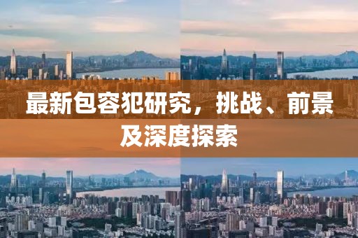 最新包容犯研究，挑战、前景及深度探索