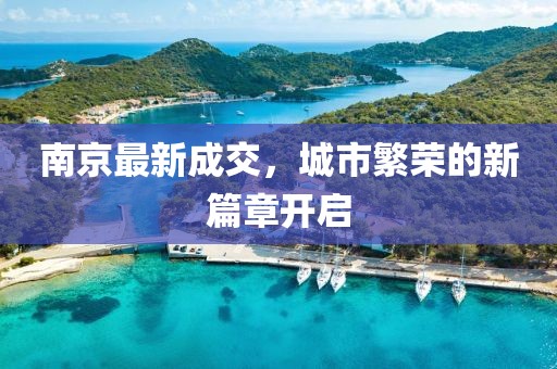 南京最新成交，城市繁荣的新篇章开启