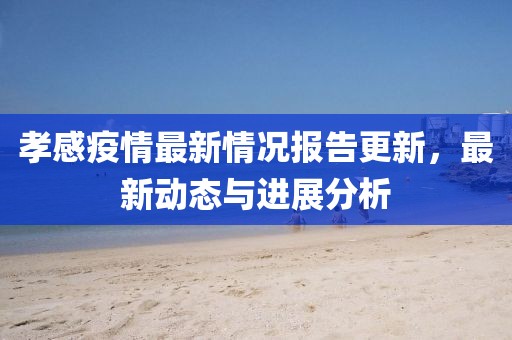 孝感疫情最新情况报告更新，最新动态与进展分析