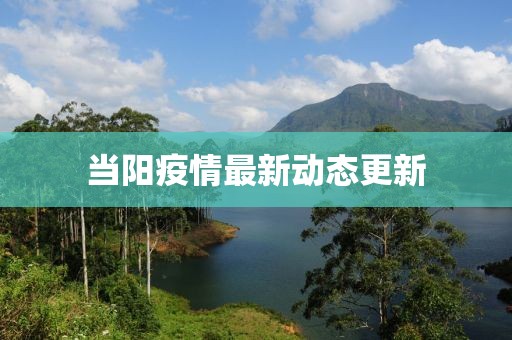 当阳疫情最新动态更新
