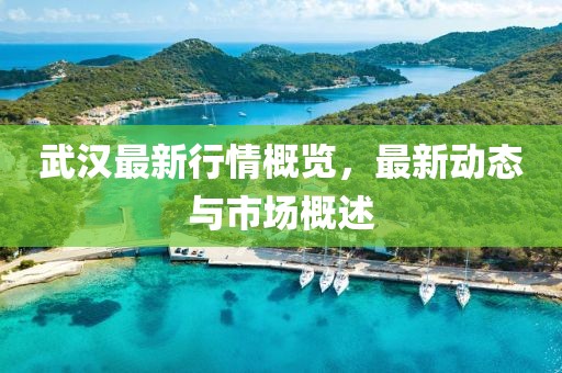 武汉最新行情概览，最新动态与市场概述