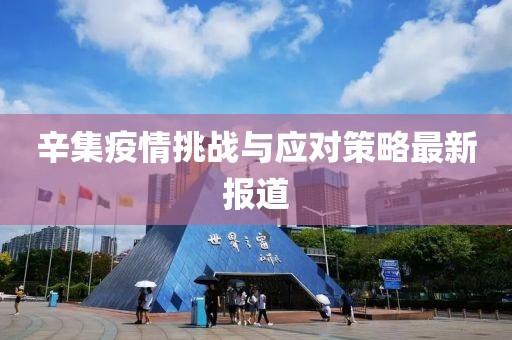 辛集疫情挑战与应对策略最新报道