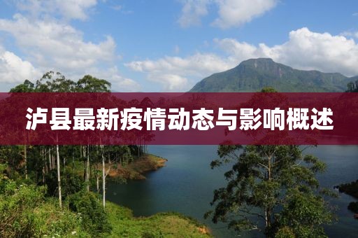 泸县最新疫情动态与影响概述