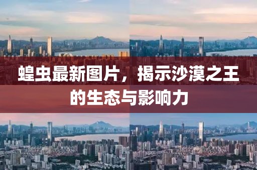 蝗虫最新图片，揭示沙漠之王的生态与影响力