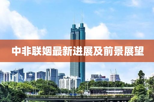中非联姻最新进展及前景展望