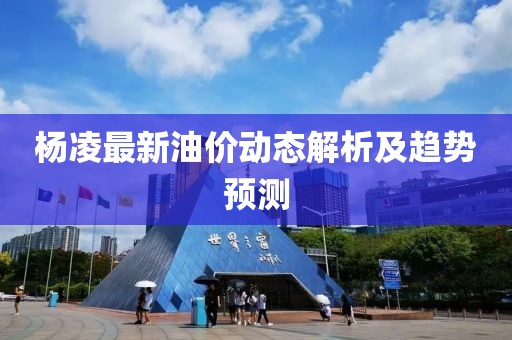 杨凌最新油价动态解析及趋势预测