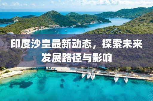 印度沙皇最新动态，探索未来发展路径与影响