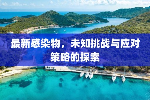 最新感染物，未知挑战与应对策略的探索