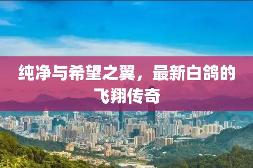 纯净与希望之翼，最新白鸽的飞翔传奇