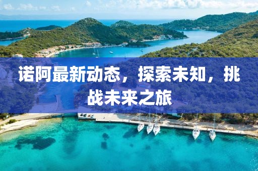诺阿最新动态，探索未知，挑战未来之旅