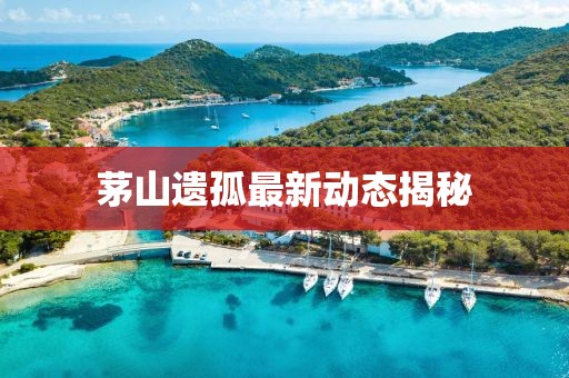 茅山遗孤最新动态揭秘