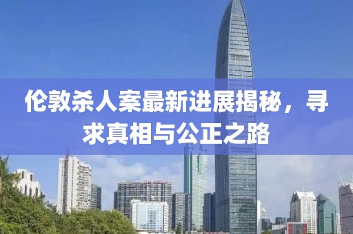 伦敦杀人案最新进展揭秘，寻求真相与公正之路