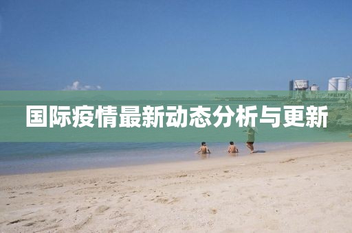 国际疫情最新动态分析与更新