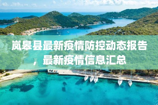 岚皋县最新疫情防控动态报告，最新疫情信息汇总
