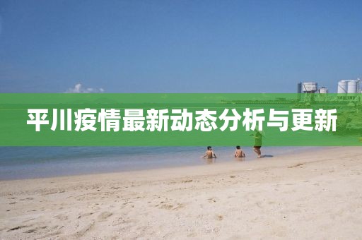 平川疫情最新动态分析与更新
