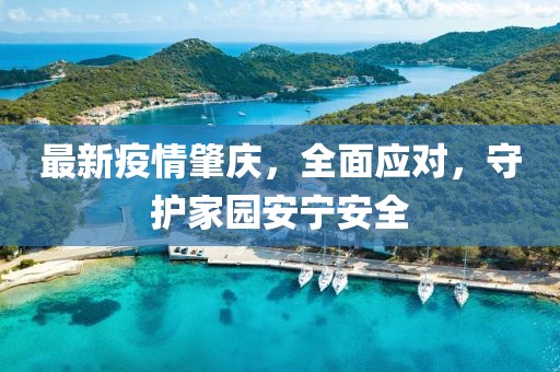 最新疫情肇庆，全面应对，守护家园安宁安全