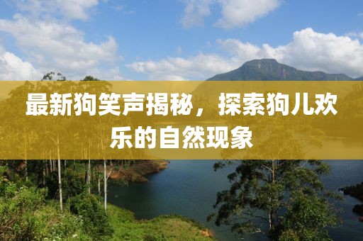 最新狗笑声揭秘，探索狗儿欢乐的自然现象