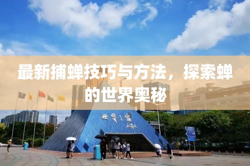 最新捕蝉技巧与方法，探索蝉的世界奥秘