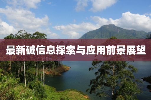 最新碱信息探索与应用前景展望
