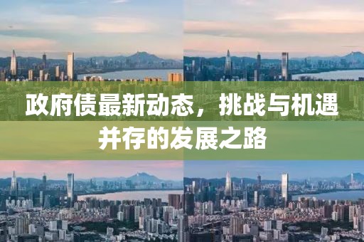 政府债最新动态，挑战与机遇并存的发展之路