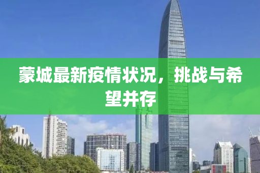 蒙城最新疫情状况，挑战与希望并存