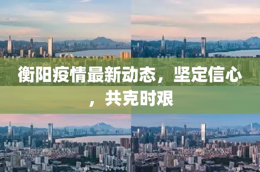 衡阳疫情最新动态，坚定信心，共克时艰