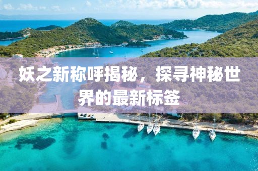 妖之新称呼揭秘，探寻神秘世界的最新标签