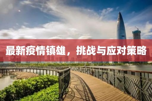最新疫情镇雄，挑战与应对策略