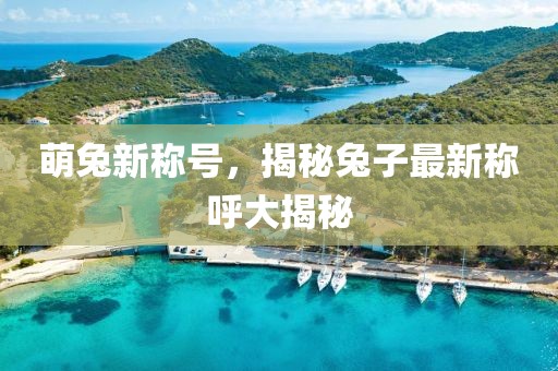 萌兔新称号，揭秘兔子最新称呼大揭秘