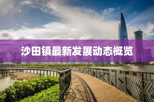 沙田镇最新发展动态概览