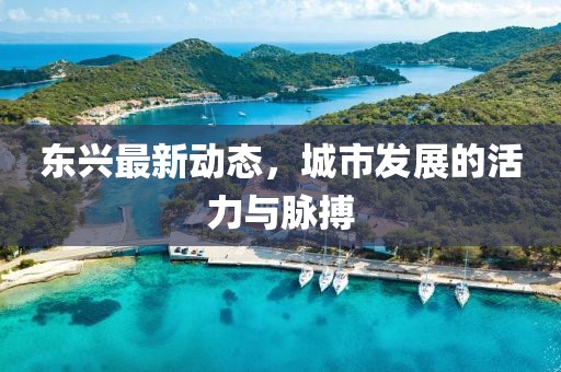 东兴最新动态，城市发展的活力与脉搏