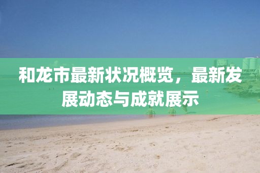 和龙市最新状况概览，最新发展动态与成就展示