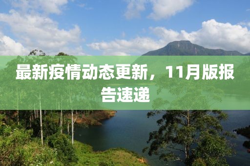 最新疫情动态更新，11月版报告速递