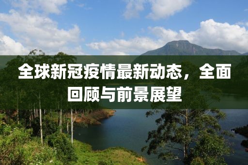 全球新冠疫情最新动态，全面回顾与前景展望