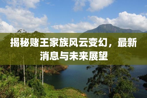 揭秘赌王家族风云变幻，最新消息与未来展望