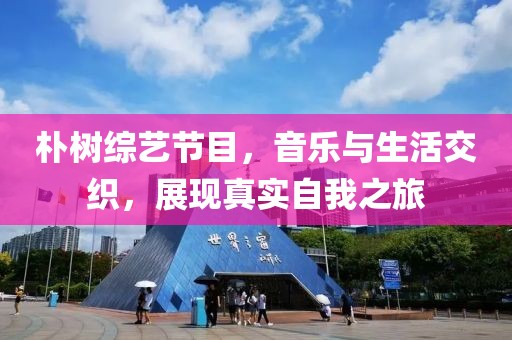 朴树综艺节目，音乐与生活交织，展现真实自我之旅