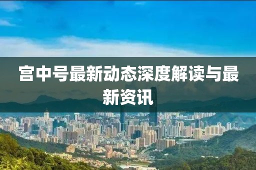 宫中号最新动态深度解读与最新资讯