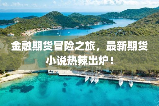 金融期货冒险之旅，最新期货小说热辣出炉！