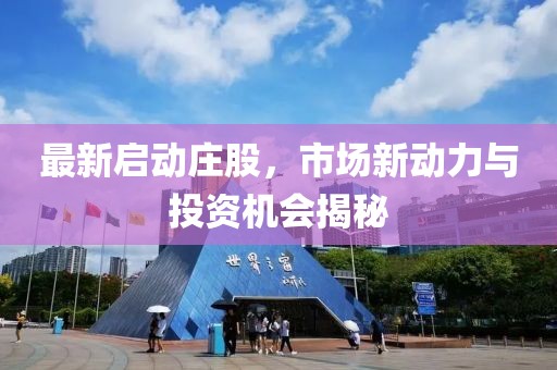 最新启动庄股，市场新动力与投资机会揭秘