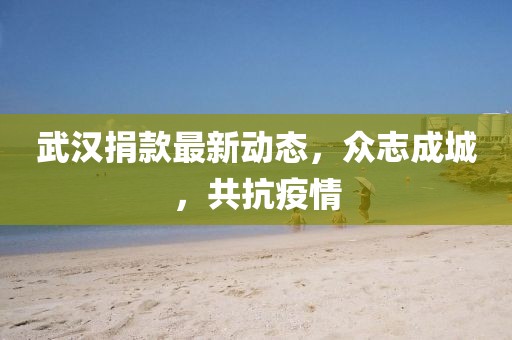 武汉捐款最新动态，众志成城，共抗疫情
