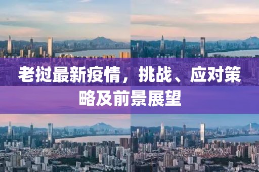 老挝最新疫情，挑战、应对策略及前景展望