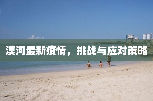 漠河最新疫情，挑战与应对策略
