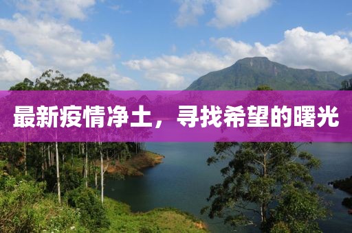 最新疫情净土，寻找希望的曙光