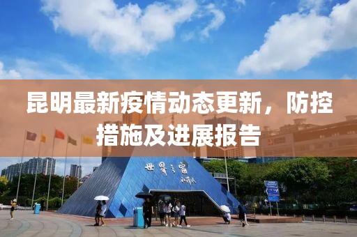 昆明最新疫情动态更新，防控措施及进展报告