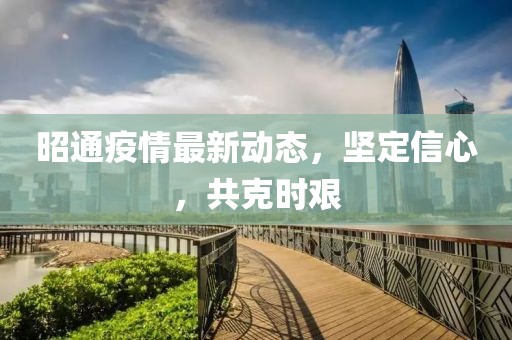 昭通疫情最新动态，坚定信心，共克时艰