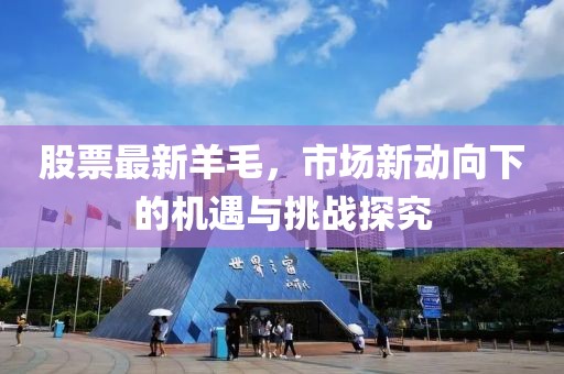 股票最新羊毛，市场新动向下的机遇与挑战探究