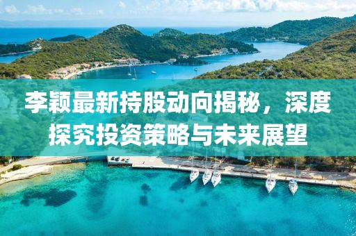 李颖最新持股动向揭秘，深度探究投资策略与未来展望