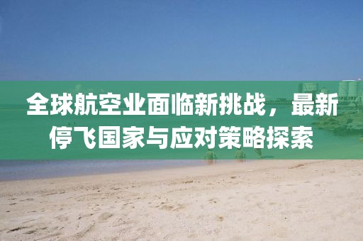 全球航空业面临新挑战，最新停飞国家与应对策略探索