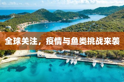 全球关注，疫情与鱼类挑战来袭